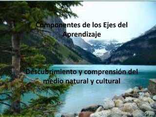 Componentes de los Ejes del AprendizajeDescubrimiento y comprensión del medio natural y cultural