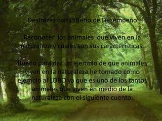 Destrezas con Criterio de DesempeñoReconocer  los animales  que viven en la naturaleza y cuales son sus características.Bueno para dar un ejemplo de que animales viven en la naturaleza he tomado como ejemplo al LOBO ya que es uno de los tantos animales que viven en medio de la naturaleza con el siguiente cuento: