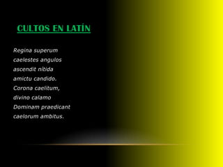 CULTOS EN LATÍN

Regina superum
caelestes angulos
ascendit nítida
amictu candido.
Corona caelitum,
divino calamo
Dominam praedicant
caelorum ambitus.
 