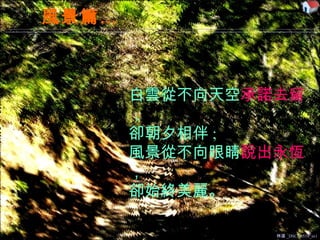 風景篇… 林道 _DSCN6518_m1 白雲從不向天空 承諾去留 ， 卻朝夕相伴 ; 風景從不向眼睛 說出永恆 ， 卻始終美麗。 