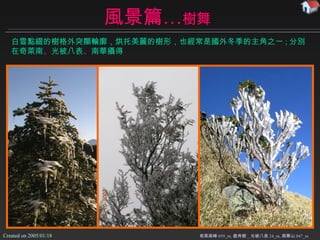 風景篇… 樹舞 奇萊南峰 059_m, 鹿角樹 _ 光被八表 24_m, 南華山 047_m 白雪點綴的樹格外突顯輪廓 ，烘托美麗的樹形，也 經常是國外冬季的主角之一 ; 分別在奇萊南 、 光被八表 、 南華攝得 