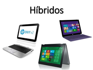 Híbridos
 