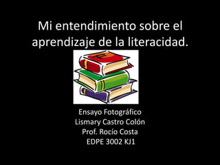 Mi entendimiento sobre el
aprendizaje de la literacidad.




         Ensayo Fotográfico
        Lismary Castro Colón
           Prof. Rocío Costa
            EDPE 3002 KJ1
 