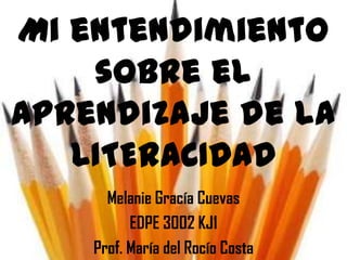 Mi entendimiento
    sobre el
aprendizaje de la
   LITERACIDAD
      Melanie Gracía Cuevas
          EDPE 3002 KJ1
    Prof. María del Rocío Costa
 