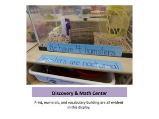 Discovery & Math Center
Print, numerals, and vocabulary building are all evident
                     in this display.
 
