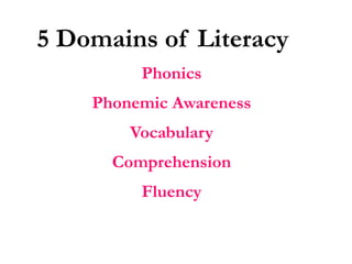 5 Domains of LiteracyPhonicsPhonemic AwarenessVocabularyComprehensionFluency