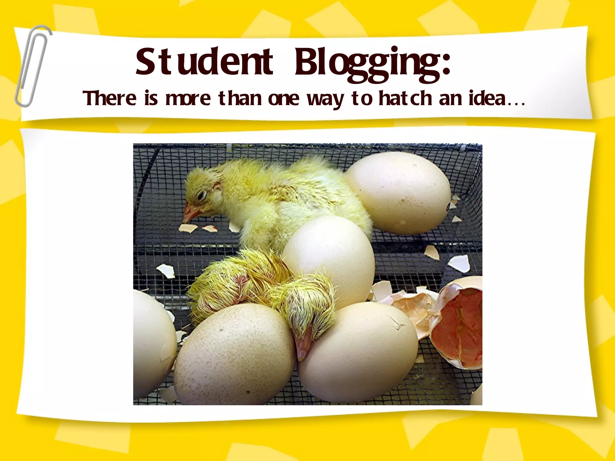 Student Blogging:  There is more than one way to hatch an idea… 