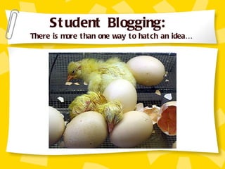 Student Blogging:  There is more than one way to hatch an idea… 