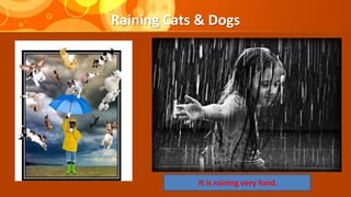 Raining Cats & Dogs
It is raining very hard.
 