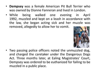 • Dempsey was a female American Pit Bull Terrier who
was owned by Dianne Fanneran and lived in London.
• While being walked one evening in April
1992, muzzled and kept on a leash in accordance with
the law, she began acting sick and her muzzle was
removed, allegedly to allow her to vomit.
• Two passing police officers noted the unmuzzled dog,
and charged the caretaker under the Dangerous Dogs
Act. Three months later, at Ealing Magistrates' Court,
Dempsey was ordered to be euthanized for failing to be
muzzled in a public place.
 