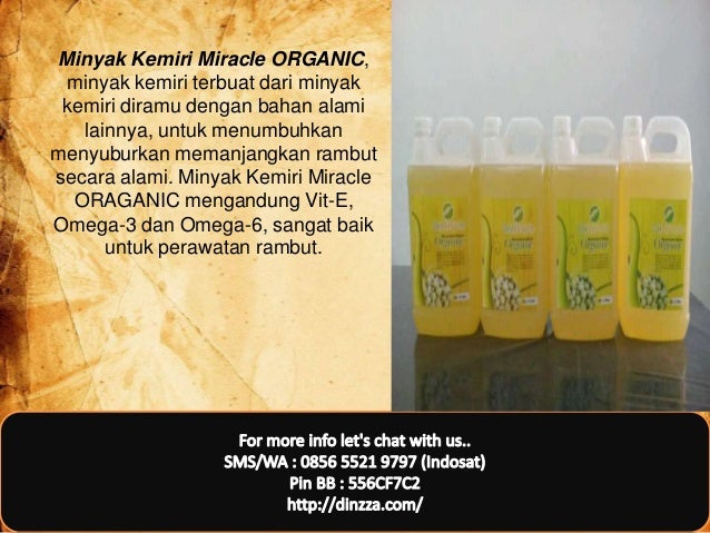 grosir minyak kemiri jual minyak kemiri literan grosir minyak kemiri jual minyak kemiri literan