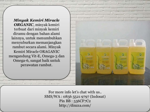 grosir minyak wijen literan 0856 5521 9797 indosat grosir minyak wijen literan 0856 5521 9797 indosat