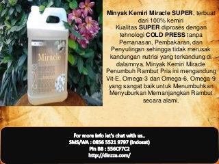 Minyak Kemiri Miracle SUPER, terbuat
dari 100% kemiri
Kualitas SUPER diproses dengan
tehnologi COLD PRESS tanpa
Pemanasan, Pembakaran, dan
Penyulingan sehingga tidak merusak
kandungan nutrisi yang terkandung di
dalamnya. Minyak Kemiri Miracle
Penumbuh Rambut Pria ini mengandung
Vit-E, Omega-3 dan Omega-6, Omega-9
yang sangat baik untuk Menumbuhkan
Menyuburkan Memanjangkan Rambut
secara alami.
 
