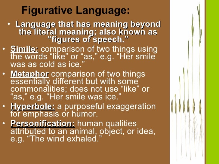 izydorczak thomas ext 1329 literary devices literary devices
