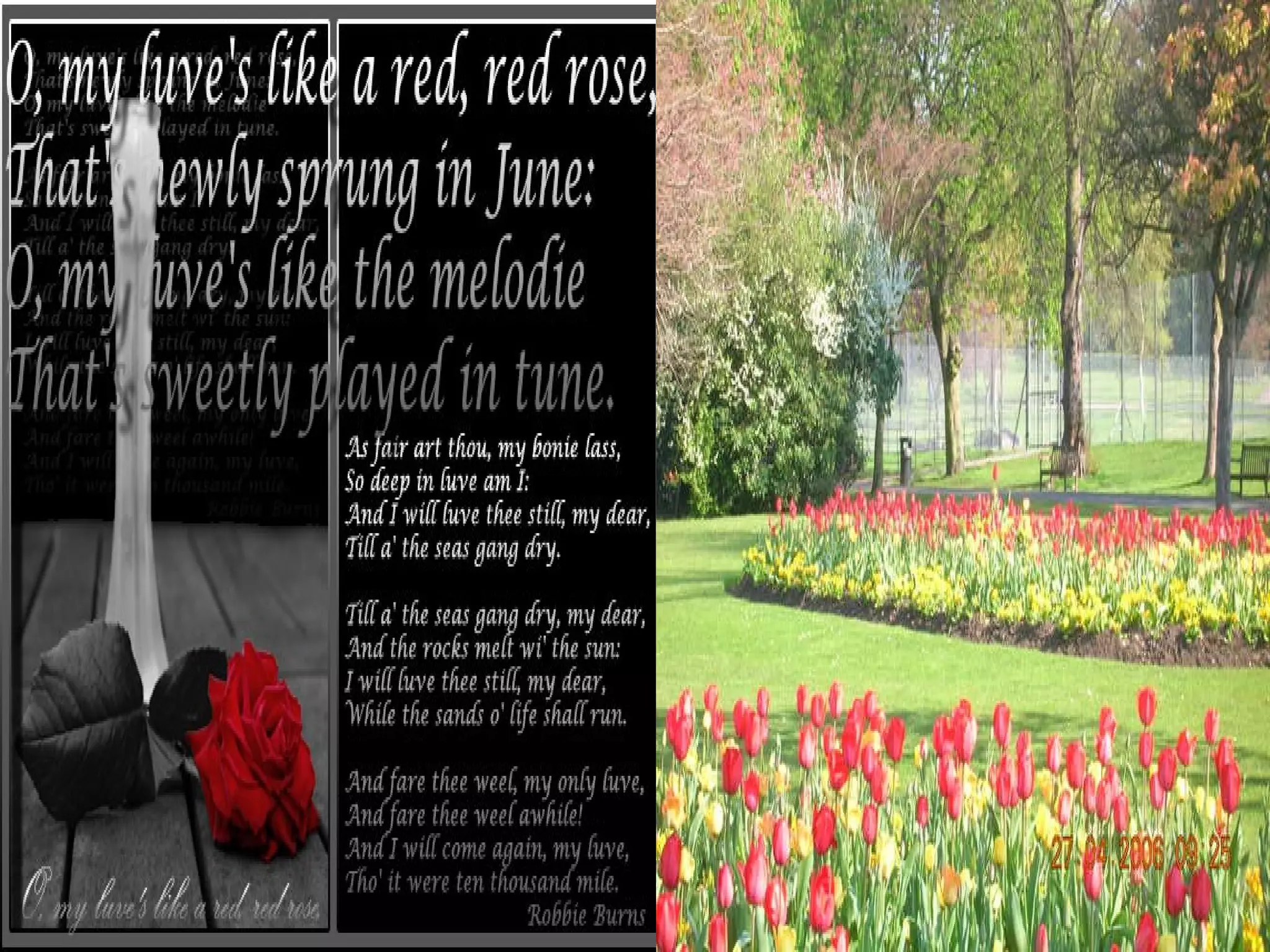 Related to Content
• Simile:
When Robert Burns wrote "My love is like
a red, red rose" he used a simile. When
Robert Herrick wrote "You are a tulip" he
used a metaphor.

 