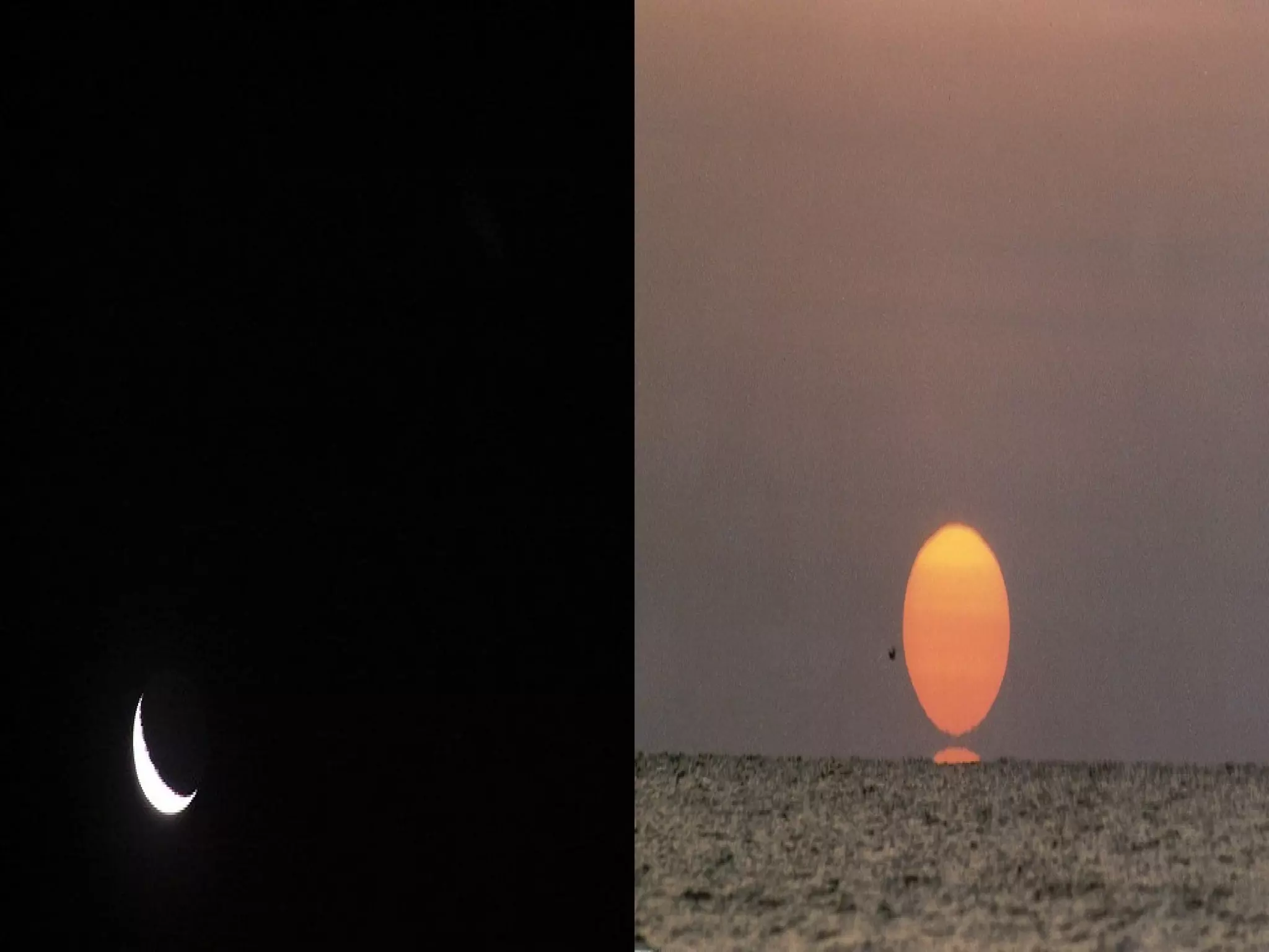 Related to Content
• Personification is giving human qualities to animals or
objects.
• Example:
a smiling moon, a jovial sun
• In "Mirror" by Sylvia Plath:
I am silver and exact.
I have no preconceptions.
Whatever I see I swallow immediately
Just as it is, unmisted by love or dislike.
I am not cruel, only truthful-• In John Keats' "To Autumn," the fall season is
personified as "sitting careless on a granary floor" (line
14) and "drowsed with the fume of poppies" (line 17.)

 