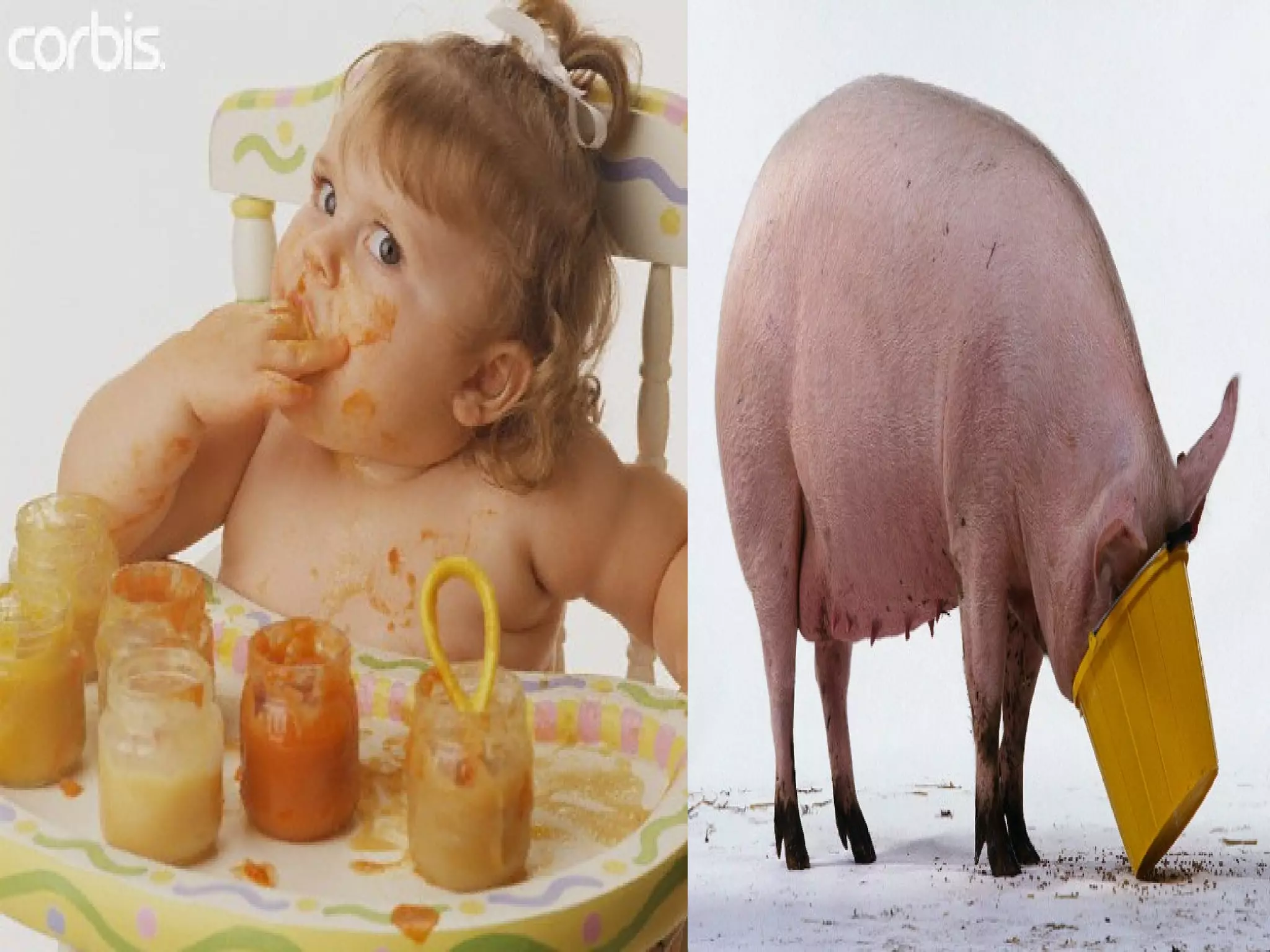 Related to Content
• Simile is the comparison of two unlike
things using like or as. Related to
metaphor
• Example:
He eats like a pig.
Vines are like golden prisons.

 