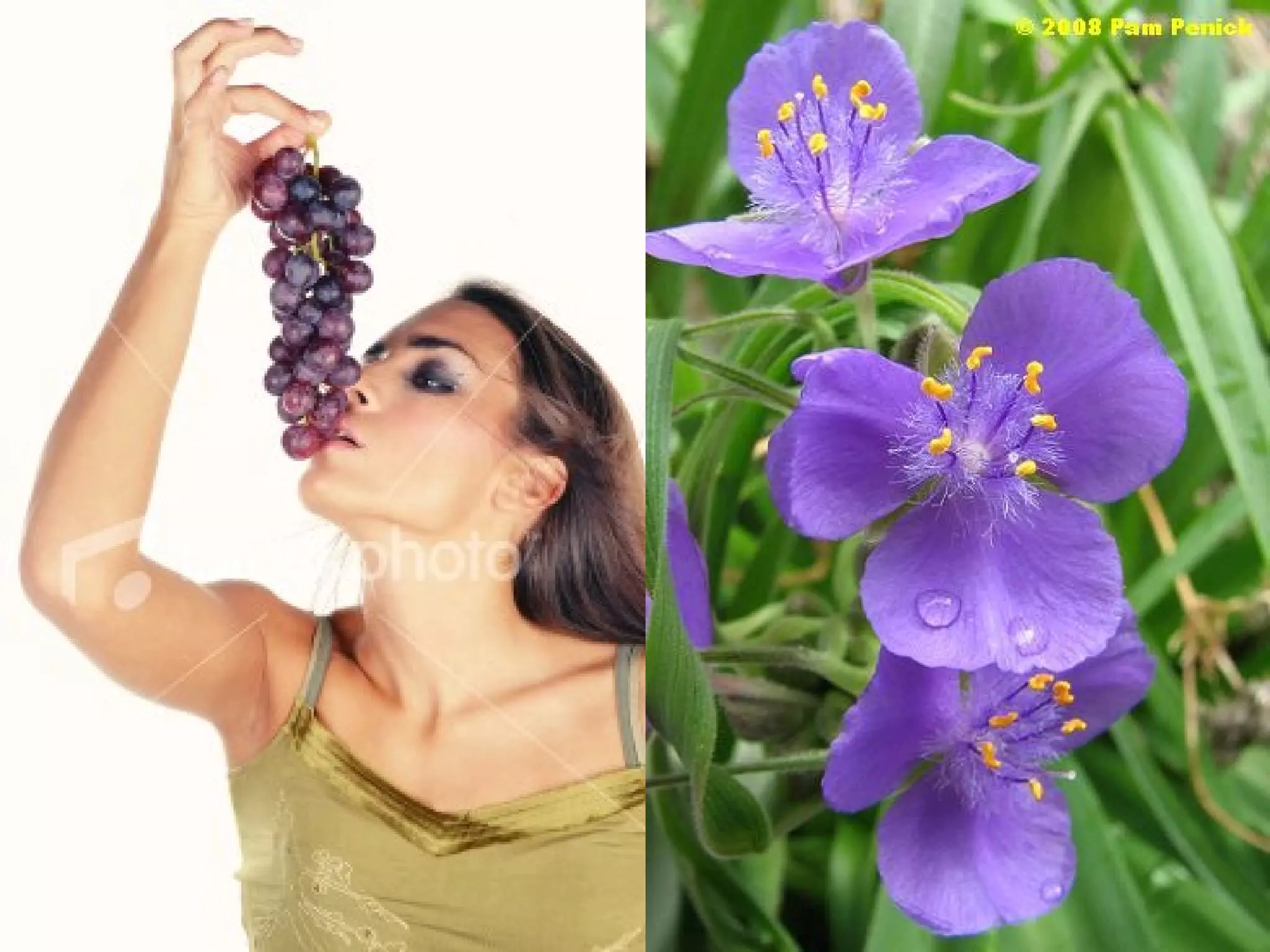 Related to Content
• Synesthesia is the conflation of the
senses.
e. g “ruby grape of Proserpine”

 