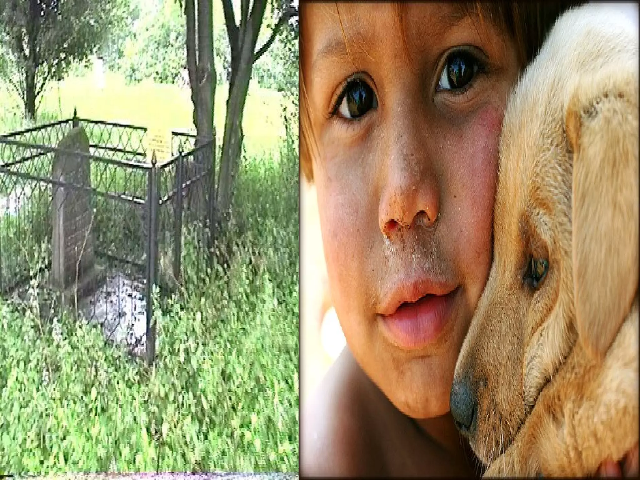 Related to Content
• Theme is the general idea or insight about
life that a writer wishes to express, the
most common ones being, death and love.
Example:
– "After reading (this book, poem, essay), I think
the author wants me to understand......."

 