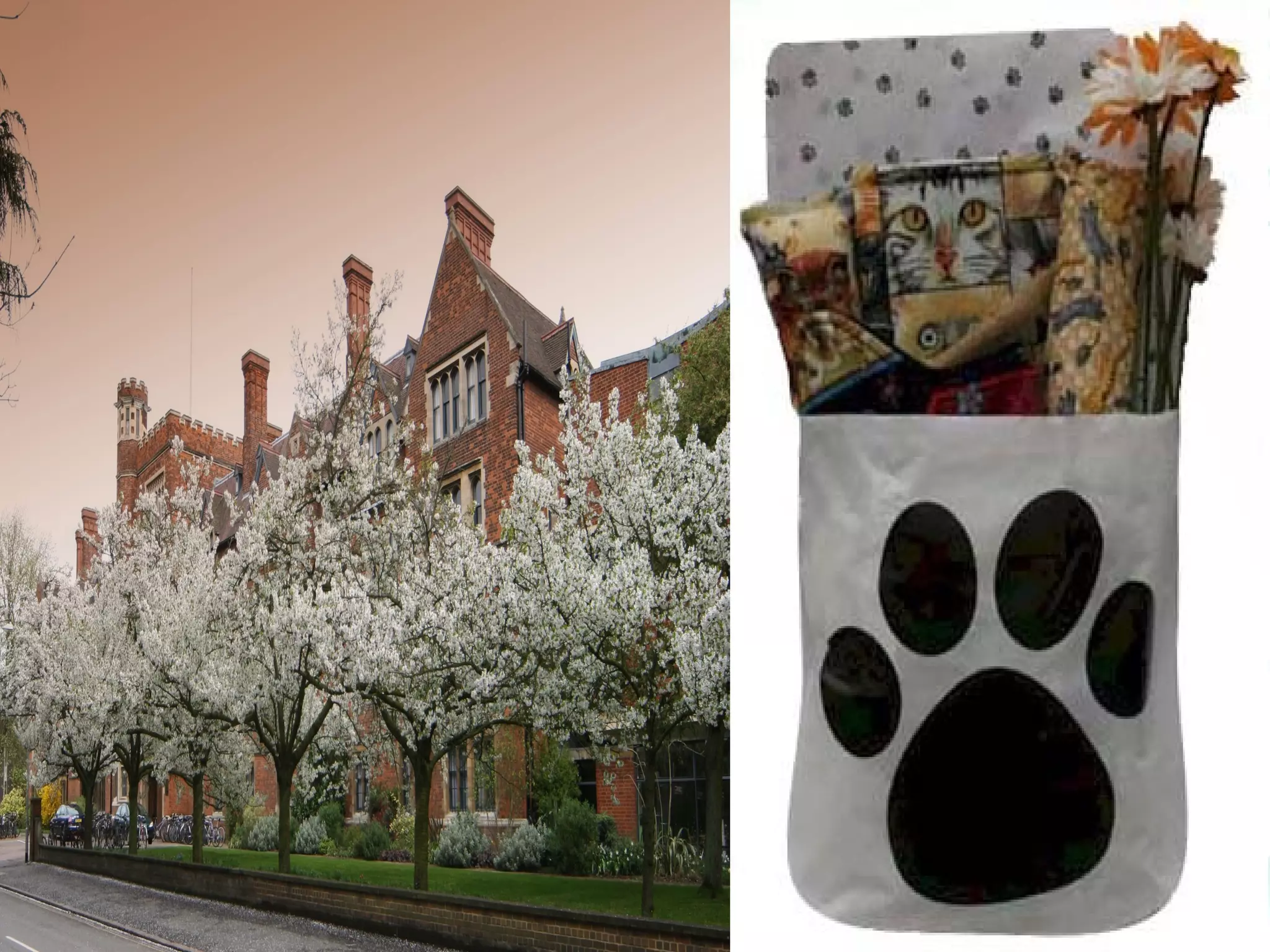 Related to Content
• An anti-climax is an abrupt declension (either deliberate
or unintended) on the part of a speaker or writer from the
dignity of idea which he appeared to be aiming at; as in
the following well-known distich:-– "The great Dalhousie, he, the god of war,
– Lieutenant-colonel to the earl of Mar."
• An anticlimax can be intentionally employed only for a
jocular or satiric purpose. It frequently partakes of the
nature of antithesis, as-– "Die and endow a college or a cat."
• It is often difficult to distinguish between "anticlimax" and
"bathos"; but the former is more decidedly a relative
term. A whole speech may never rise above the level of
bathos; but a climax of greater or less elevation is the
necessary antecedent of an anticlimax.

 