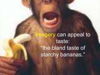 Imagery can appeal to taste: “the bland taste of starchy bananas.”