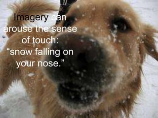 Imagery can arouse the sense of touch:“snow falling on your nose.”