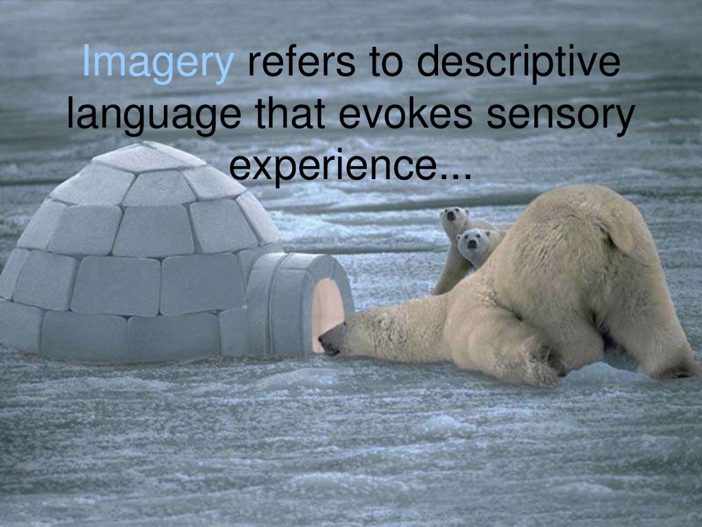 Literary Devices Power Point Riset