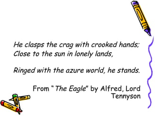 He clasps the crag with crooked hands;
Close to the sun in lonely lands,
Ringed with the azure world, he stands.
From “The Eagle” by Alfred, Lord
Tennyson
 