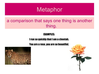 Metaphor a comparison that says one thing is another thing. EXAMPLES: I run so quickly that I am a cheetah. You are a rose, you are so beautiful. 