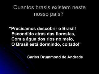 Quantos brasis existem neste
         nosso país?

“Precisamos descobrir o Brasil!
 Escondido atrás das florestas,
 Com a água dos rios no meio,
 O Brasil está dormindo, coitado!”

        Carlos Drummond de Andrade
 