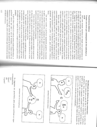 Literatura e a formação do leitor