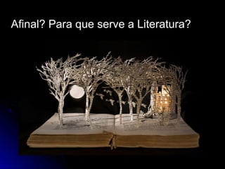 Professora: Mª Cristina A. Biagio
Afinal? Para que serve a Literatura?
 