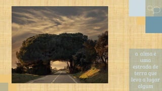 a alma é
uma
estrada de
terra que
leva a lugar
algum
 