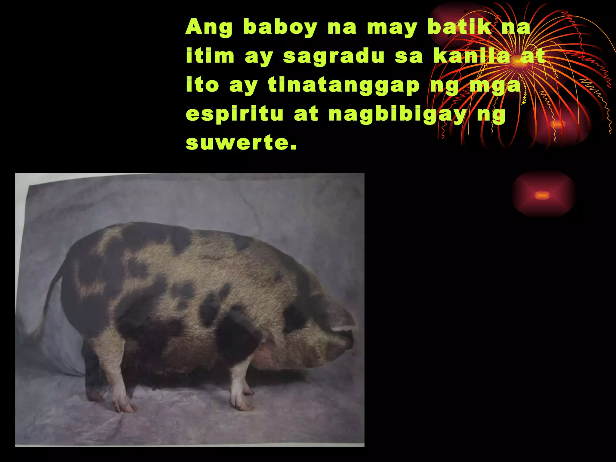 Ang baboy na may batik na itim ay sagradu sa kanila at ito ay tinatanggap ng mga espiritu at nagbibigay ng suwerte. 