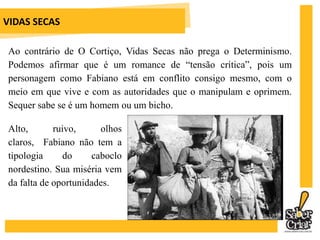A OBRA	Os preás são personagens simbólicos: tanto podem significar sobrevivência (capítulo FUGA) quanto fartura (capítulo BALEIA). As aves de arribação também ganham duplo significado: são a vida, porque sua carne pode ser consumida pela família de Fabiano, porém são a morte, pois sua chegada denuncia a seca na região. 