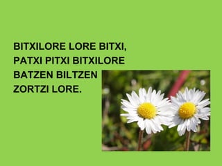 BITXILORE LORE BITXI,
PATXI PITXI BITXILORE
BATZEN BILTZEN
ZORTZI LORE.
 