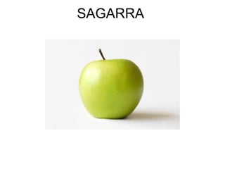 SAGARRA
 