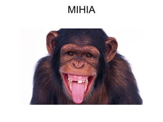 MIHIA
 
