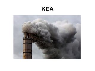 KEA
 