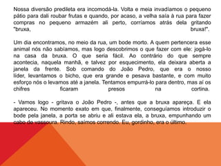 Nossa diversão predileta era incomodá-la. Volta e meia invadíamos o pequeno
pátio para dali roubar frutas e quando, por acaso, a velha saía à rua para fazer
compras no pequeno armazém ali perto, corríamos atrás dela gritando
"bruxa, bruxa!".
Um dia encontramos, no meio da rua, um bode morto. A quem pertencera esse
animal nós não sabíamos, mas logo descobrimos o que fazer com ele: jogá-lo
na casa da bruxa. O que seria fácil. Ao contrário do que sempre
acontecia, naquela manhã, e talvez por esquecimento, ela deixara aberta a
janela da frente. Sob comando do João Pedro, que era o nosso
líder, levantamos o bicho, que era grande e pesava bastante, e com muito
esforço nós o levamos até a janela. Tentamos empurrá-lo para dentro, mas aí os
chifres ficaram presos na cortina.
- Vamos logo - gritava o João Pedro -, antes que a bruxa apareça. E ela
apareceu. No momento exato em que, finalmente, conseguíamos introduzir o
bode pela janela, a porta se abriu e ali estava ela, a bruxa, empunhando um
cabo de vassoura. Rindo, saímos correndo. Eu, gordinho, era o último.
 