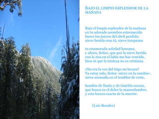 BAJO EL LIMPIO ESPLENDOR DE LA
MAÑANA
Bajo el limpio esplendor de la mañana
en tu adorado asombro estremecido
busco los juncos del abril perdido;
nieve herida eras tú, nieve temprana
tu enamorada soledad humana,
y ahora, Señor, que por la nieve herido
con la risa en el labio me has vencido,
bien sé que la tristeza no es cristiana.
¿No era la voz del trigo mi locura?
Ya estoy solo, Señor -nieve en la cumbre-,
nieve aromada en el temblor de verte,
hombre de llanto y de tiniebla oscura,
que busca en el dolor la mansedumbre,
y esta locura exacta de la muerte.
(Luis Rosales)
 