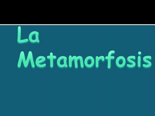 Literatura vanguardista