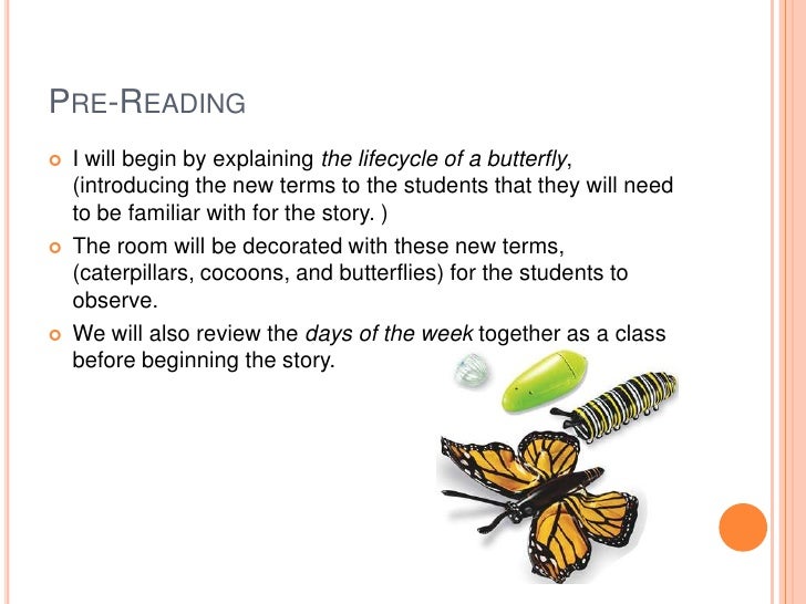 Literature Powerpoint On Pattern Books