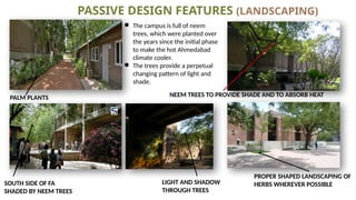 PASSIVE DESIGN FEATURES (LANDSCAPING)
● The campus is full of neem
trees, which were planted over
the years since the initial phase
to make the hot Ahmedabad
climate cooler.
● The trees provide a perpetual
changing pattern of light and
shade.
PALM PLANTS NEEM TREES TO PROVIDE SHADE AND TO ABSORB HEAT
SOUTH SIDE OF FA
SHADED BY NEEM TREES
PROPER SHAPED LANDSCAPING OF
HERBS WHEREVER POSSIBLE
LIGHT AND SHADOW
THROUGH TREES
 