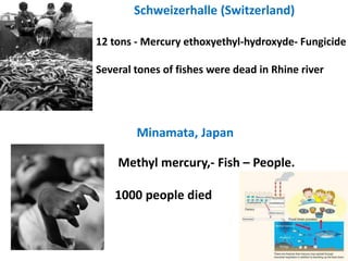 12 tons - Mercury ethoxyethyl-hydroxyde- Fungicide
Several tones of fishes were dead in Rhine river
Schweizerhalle (Switzerland)
Minamata, Japan
Methyl mercury,- Fish – People.
1000 people died
 