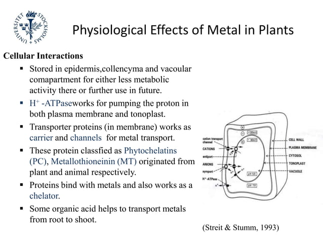 Heavy metal in the environment and effect on plant physiology | PPTX