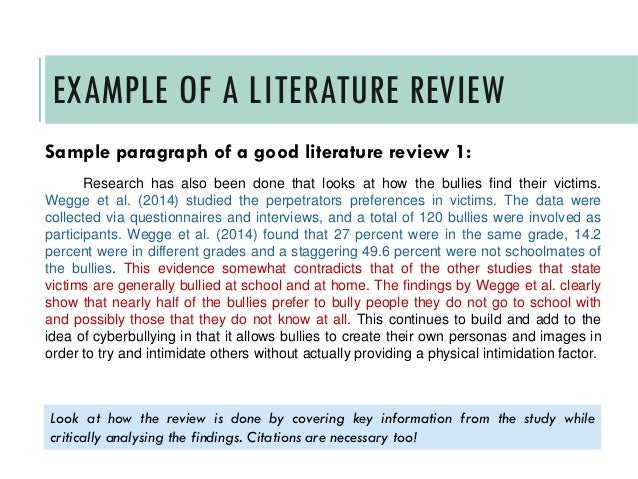 examples of writing literature review