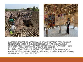 GARDENING TOGETHER WORKED AS A KEY CONNECTING TOOL. VARIOUS
PLANTS WERE LISTED THROUGH DISCUSSIONS THAT SERVE VARIOUS
PURPOSES. AND THESE PLANTS WERE COLLECTED AND PLANTED IN FOUR
DIFFERENT COURTS WITHIN THE STRUCTURES. FOR THE
HOUSEHOLD/KITCHEN GARDEN, KOLKOITTA BOR FATA’, HORO FATA’, VAAT
FATA/FONI FATA’, DHANYA MORICH ,DHEI HAAK, TARA GACHH (LEMON TREE),
JAILLYA/KODU ETC. WERE SELECTED.
 