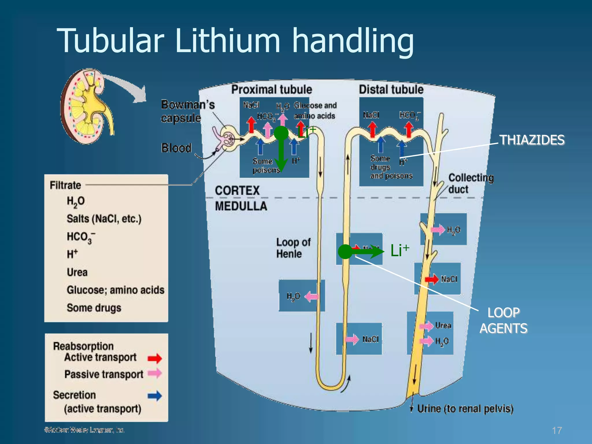 Tubular Lithium handling

                Li+           THIAZIDES




                      Li+


                             LOOP
                            AGENTS




                                     17
 