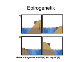 Epirogenetik

Gerak epirogenetik positif (A) dan negatif (B)

 